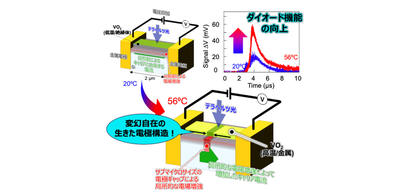 変幻自在な電極材料でダイオードの性能を向上