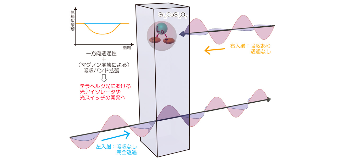 広帯域のテラヘルツ光で光のダイオード効果を観測