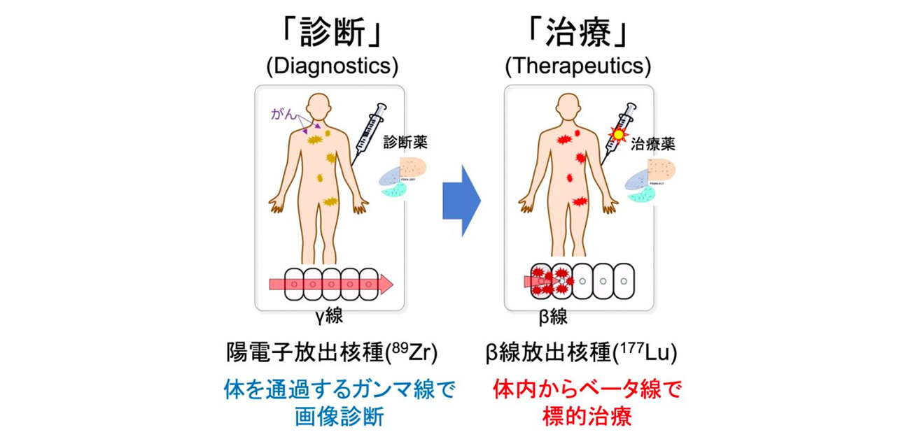 標的のがん細胞を画像化し、ベータ線で攻撃