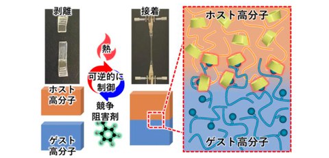 2つの架橋により強粘着と易解体を実現 - ResOU