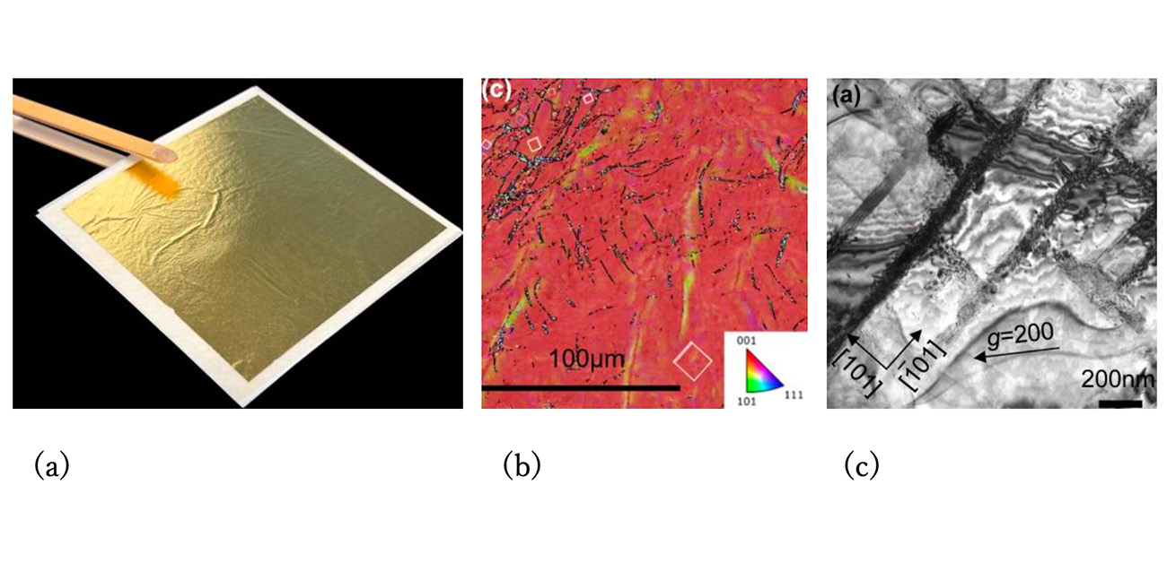 ユネスコ無形文化遺産「金沢金箔」の薄さと輝きを生む謎を解明