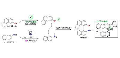バナジウム触媒と光が奏でる新たな合成法