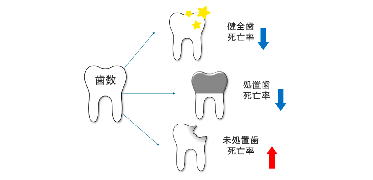 歯の健康状態が死亡率予測の鍵に！