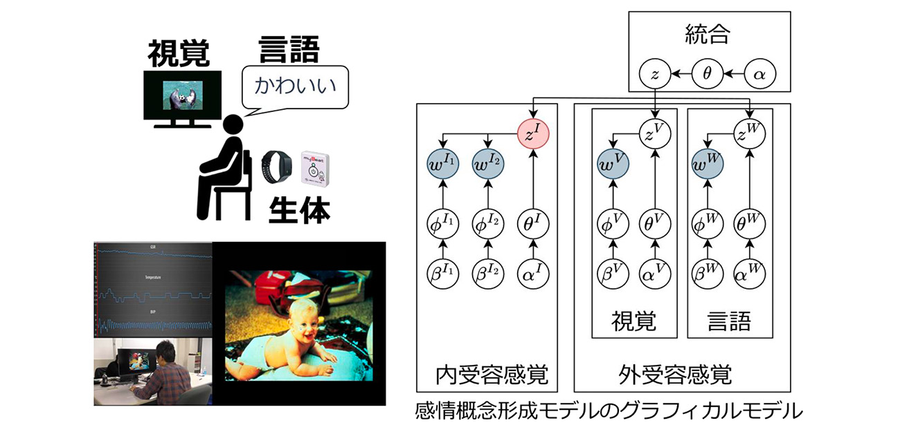 視覚・生理・言語情報を統合し「感情概念」を形成する計算モデルを開発