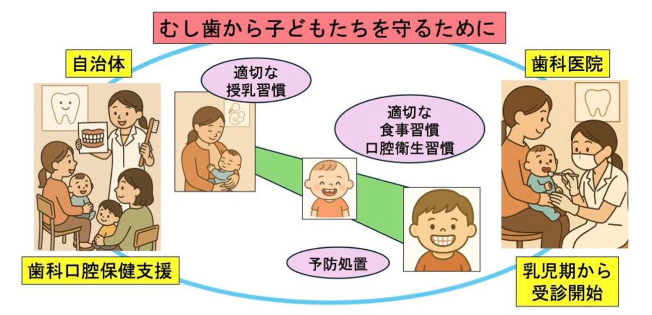 ＼乳歯が萌え始めたら受診しよう／ 歯科口腔保健支援によって、むし歯になりやすい乳児のむし歯有病率が低下