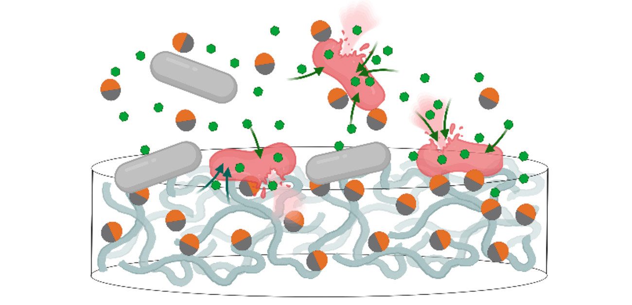 2つの”顔”を持つヤヌスナノ粒子で 薬剤耐性菌に対する抗菌薬の効力回復に成功