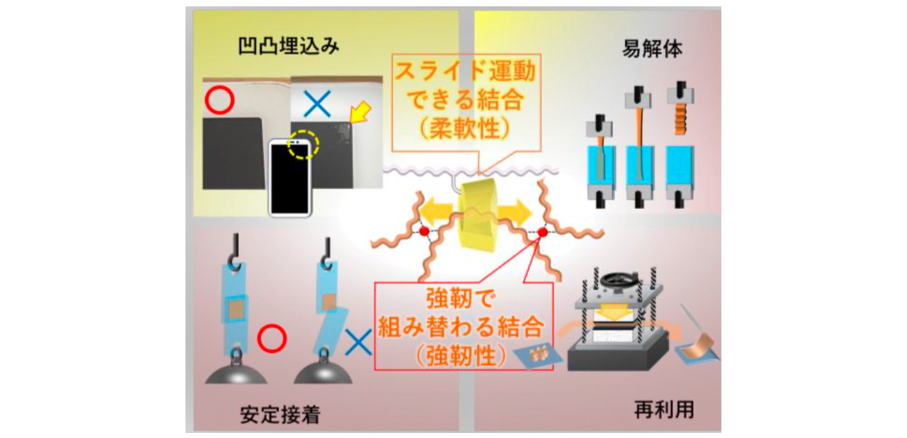 ２つの架橋により強粘着と易解体を実現