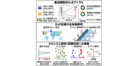 日本人の食習慣に関連する遺伝的特徴を解明 - ResOU