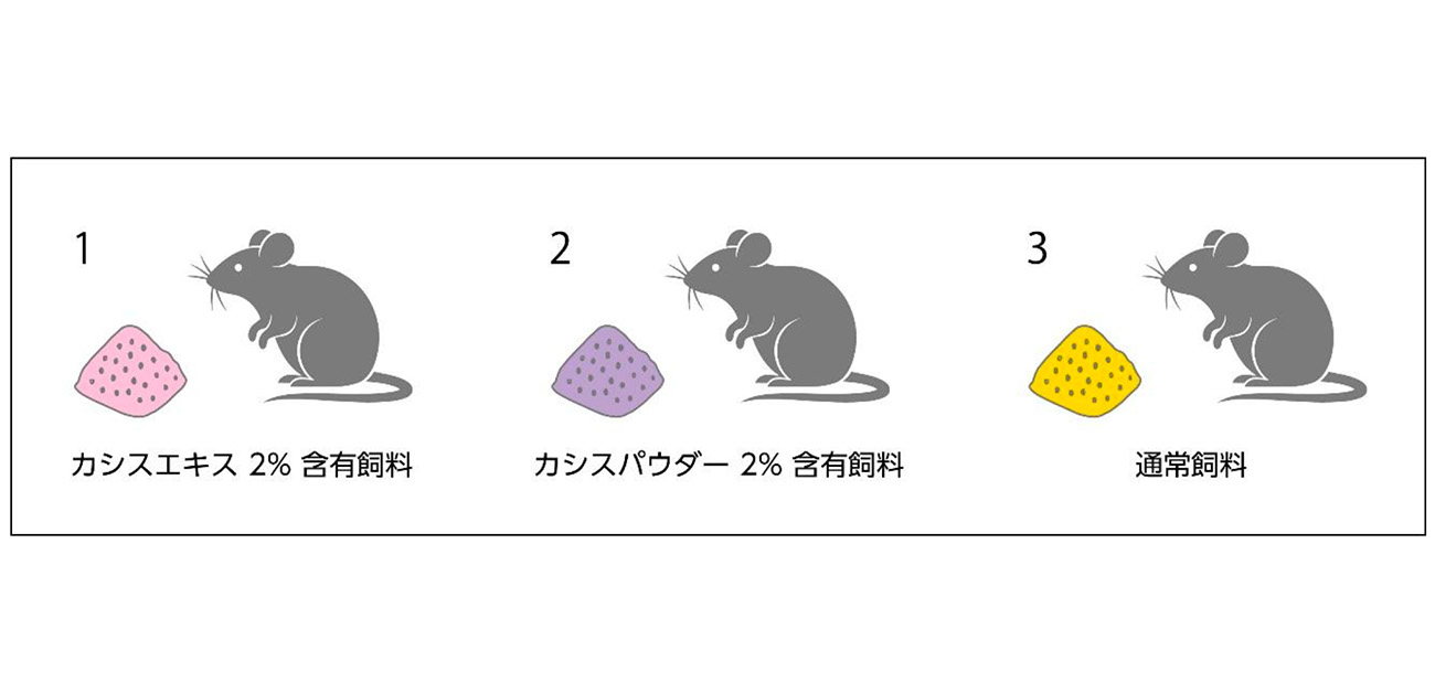 森下仁丹、大阪大学蛋白質研究所とカシス由来成分の 「動体視力」改善作用に関する特許を共同出願
