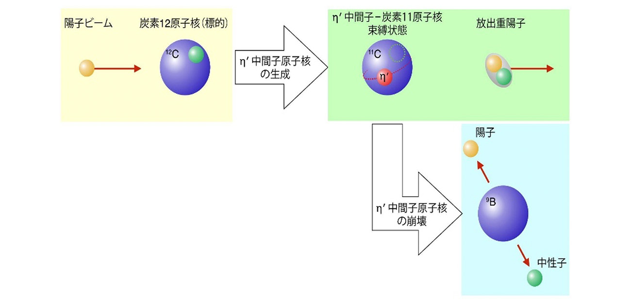 \新種の原子核!?/ 強い相互作用だけで束縛した中間子原子核の兆候を初観測