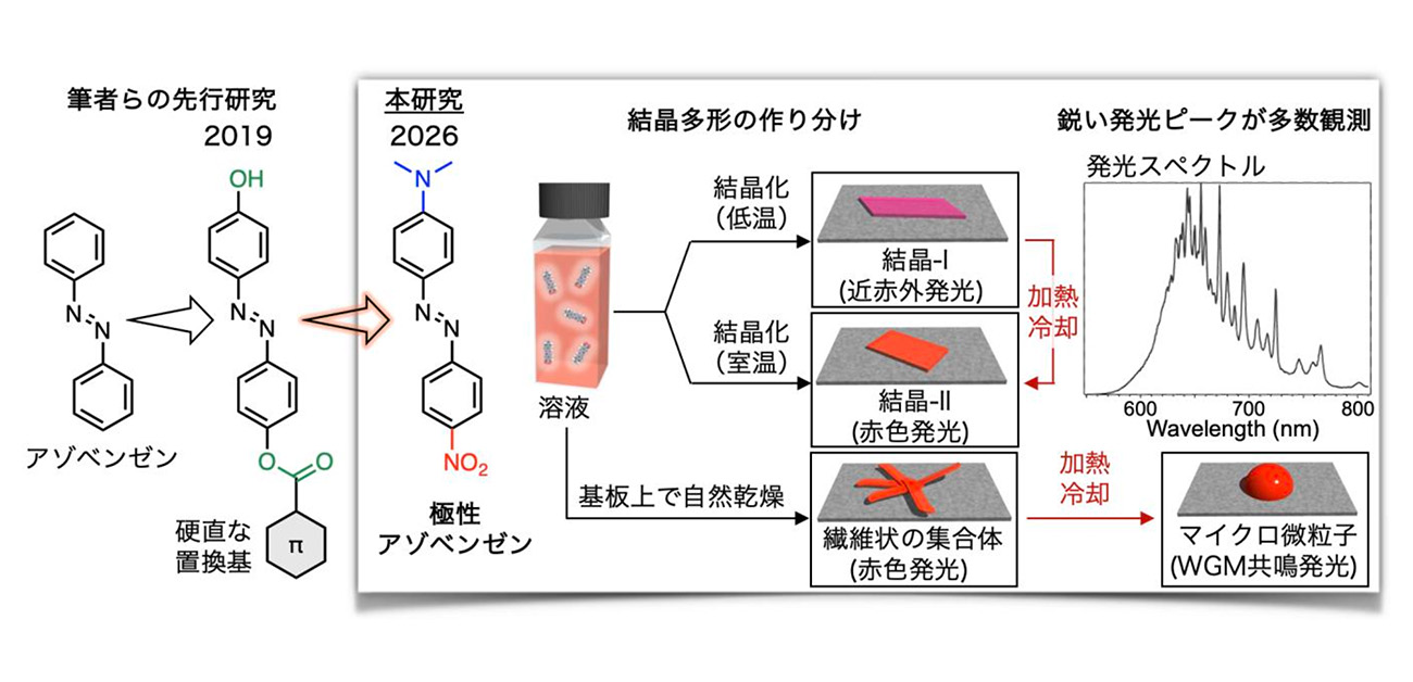 「光らない」常識を覆す！アゾベンゼン微粒子から鋭い発光を世界初観測