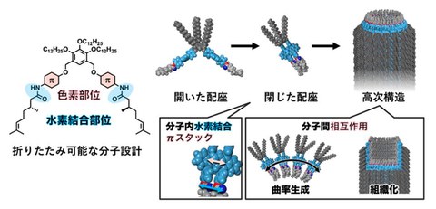 今までの「光化学」の概念を覆す新発見！光反応性分子結晶における特異