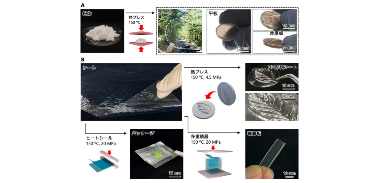 木材由来のナノ繊維からプラスチック様材料の形成に成功