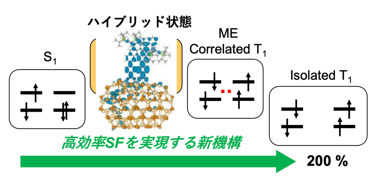 太陽電池効率化の鍵！ 吸熱型一重項励起子分裂を 分子―量子ドット界面で実現