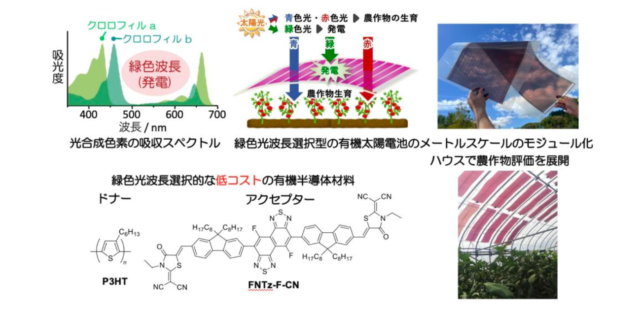発電と栽培を両立する有機太陽電池