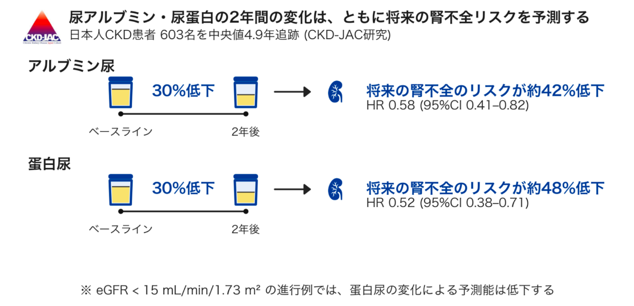 尿蛋白の減少が末期腎不全リスク低下と関連することを明らかに