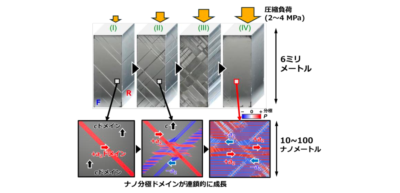 ＼わずかな力で誘電率が激変！／ 「押して作る」ナノドメイン組織が 強誘電体のサイズ効果の限界を超える