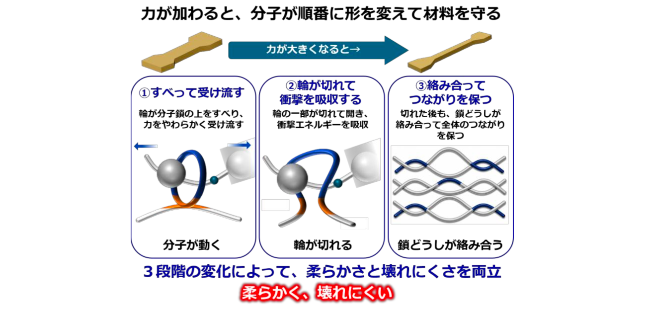 柔らかく受け流して壊れにくい高分子材料を開発