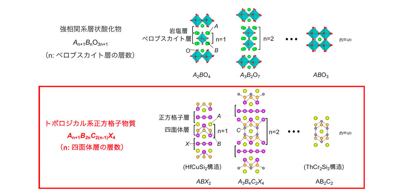 トポロジカル磁性体の新たな設計指針を確立