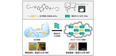藻類の新たな光利用の仕組みを解き明かす - ResOU