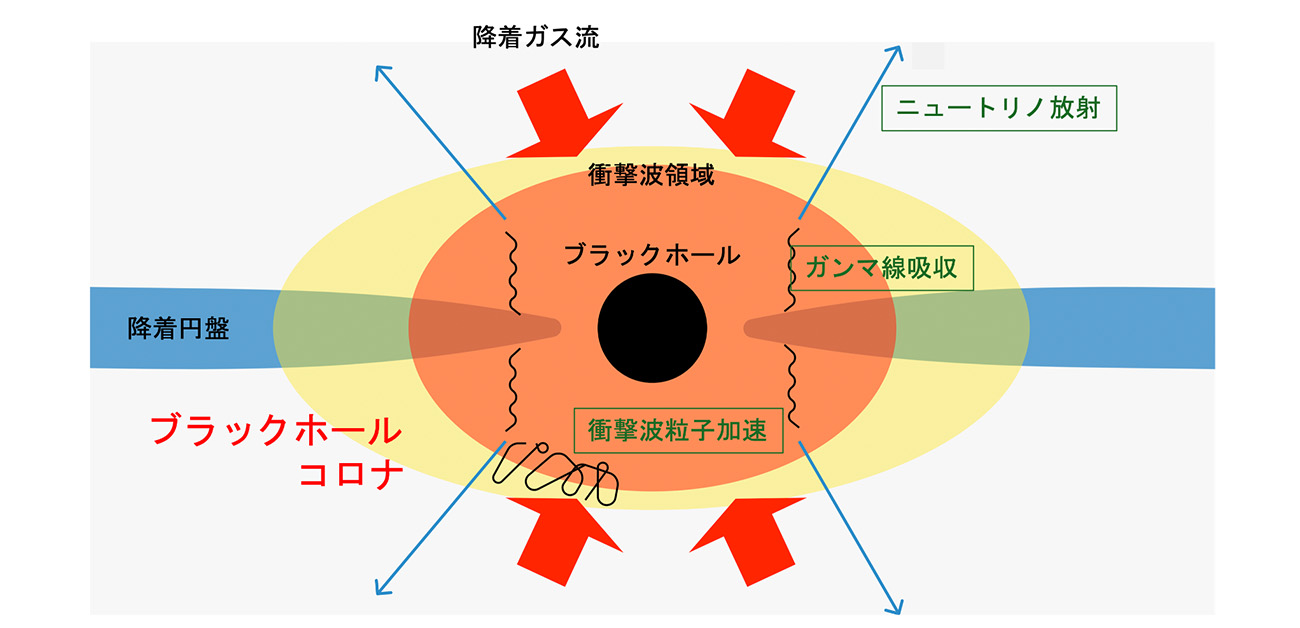 ブラックホール周辺の衝撃波による粒子加速を解明