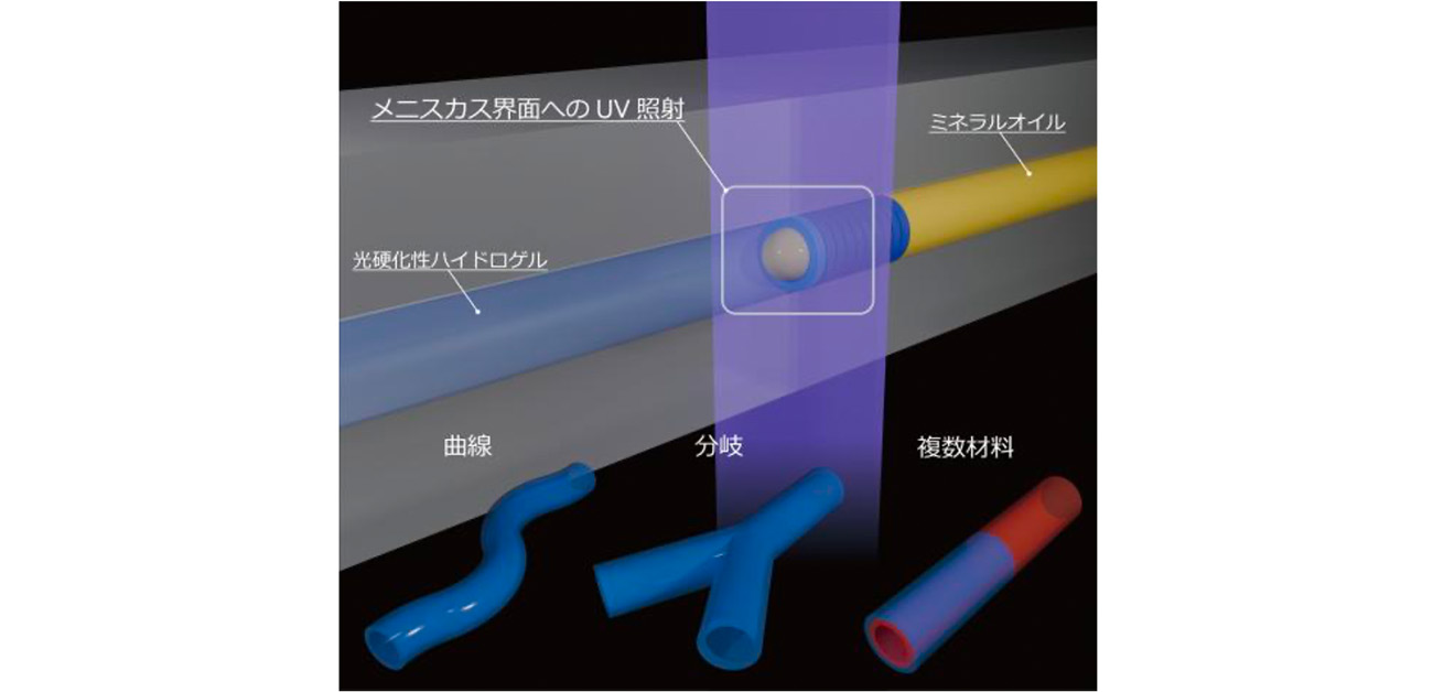 \リングを積み重ね、血管の足場に/ メニスカス現象を利用した 細動脈スケールのチューブ造形に成功
