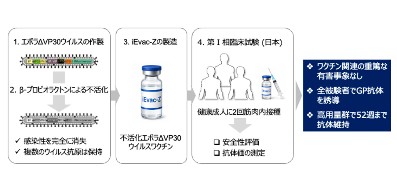 新しい不活化エボラワクチン「iEvac-Z」の第I相臨床試験で 安全性と免疫原性を確認