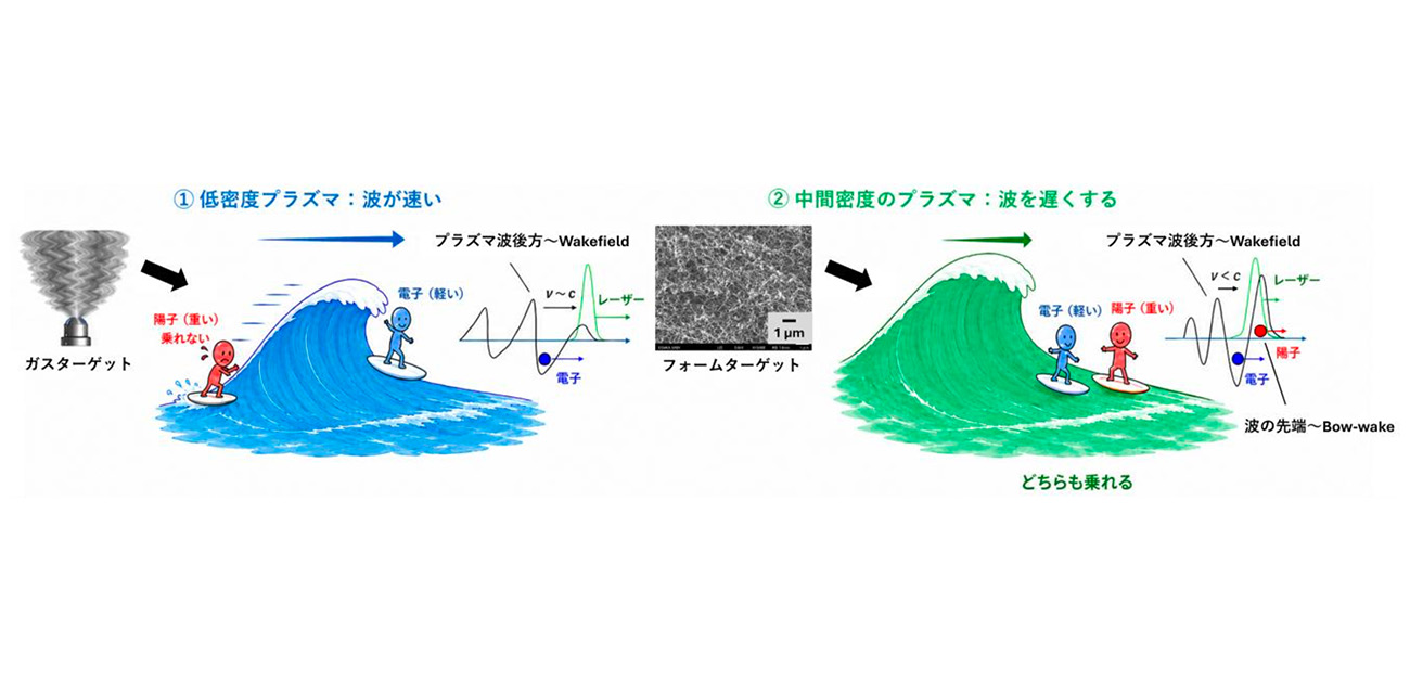 光を制御し、イオンを波に乗せる新たな加速原理を実証