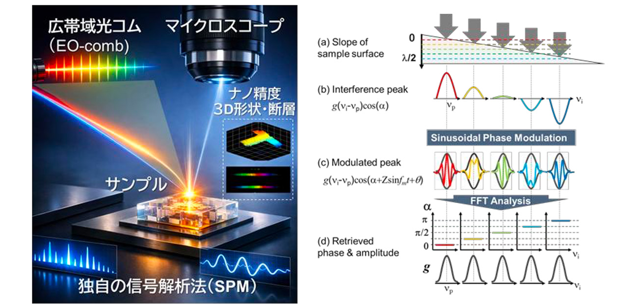 光コムで生体組織の“わずかな動き”まで とらえる新しい3D計測技術を開発