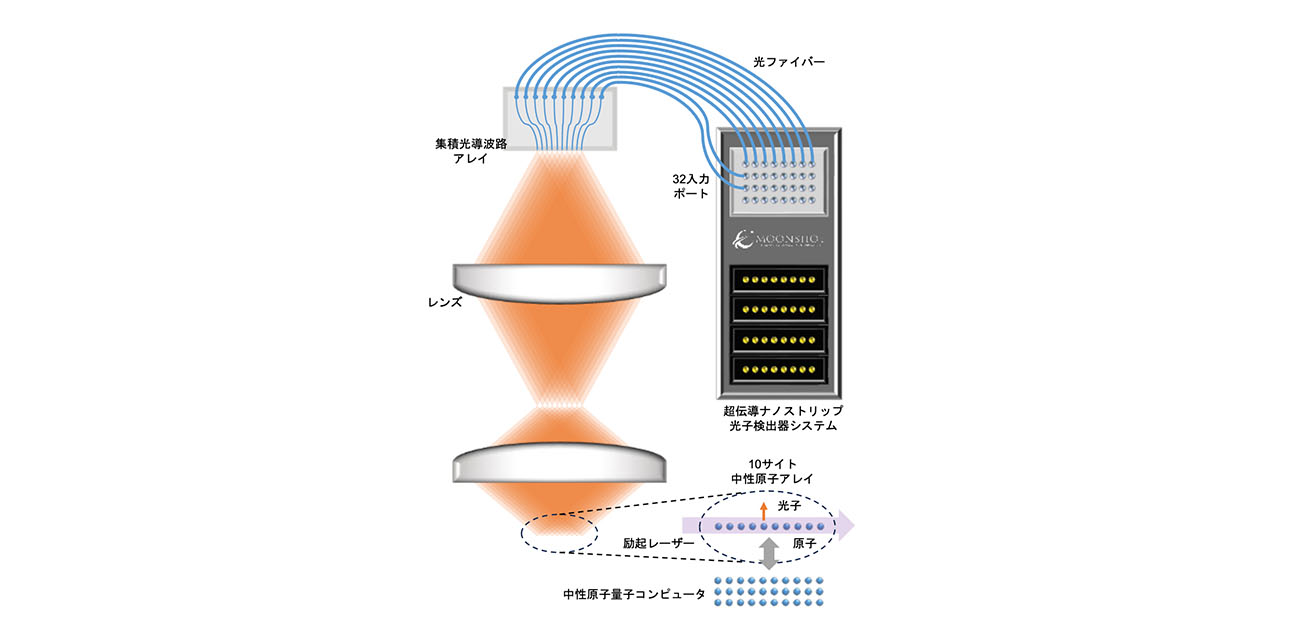 大規模中性原子量子コンピュータ向けの 多重量子光インターフェースを実現