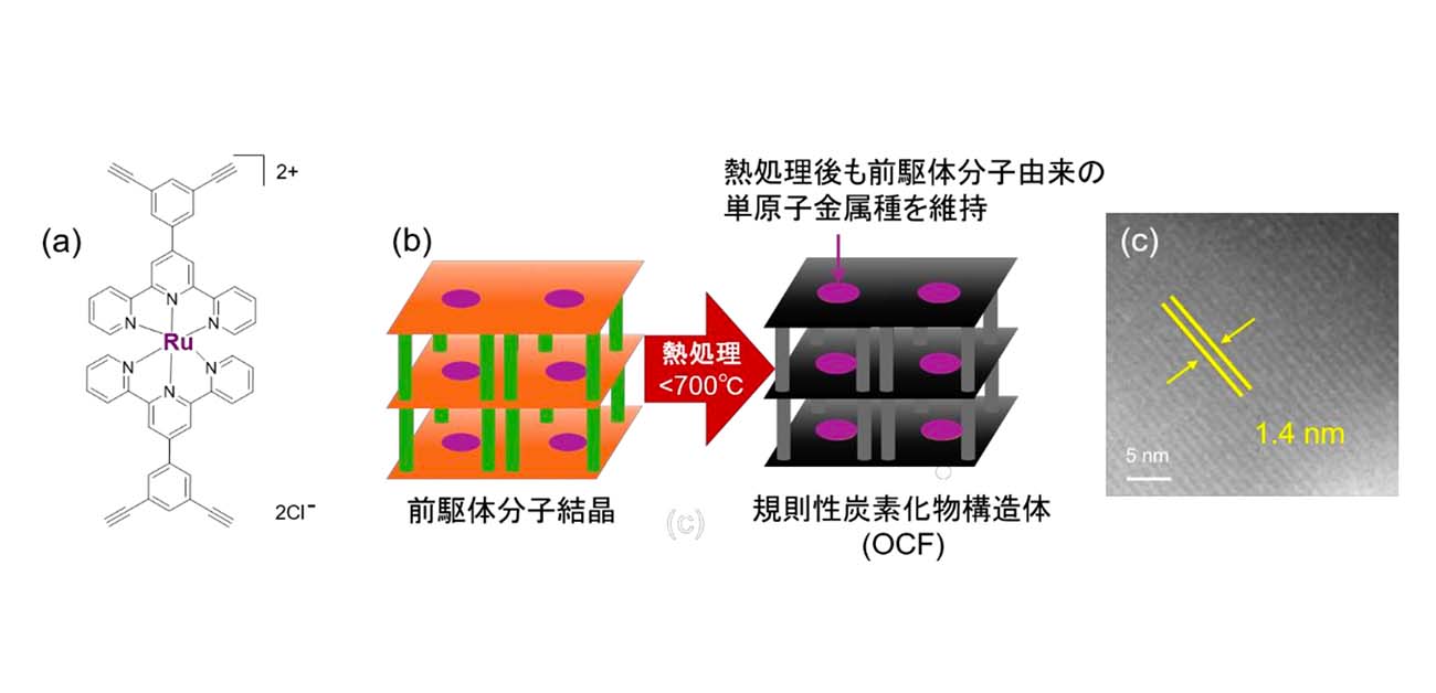 ルテニウム原子を炭素材料に高密度固定することに成功