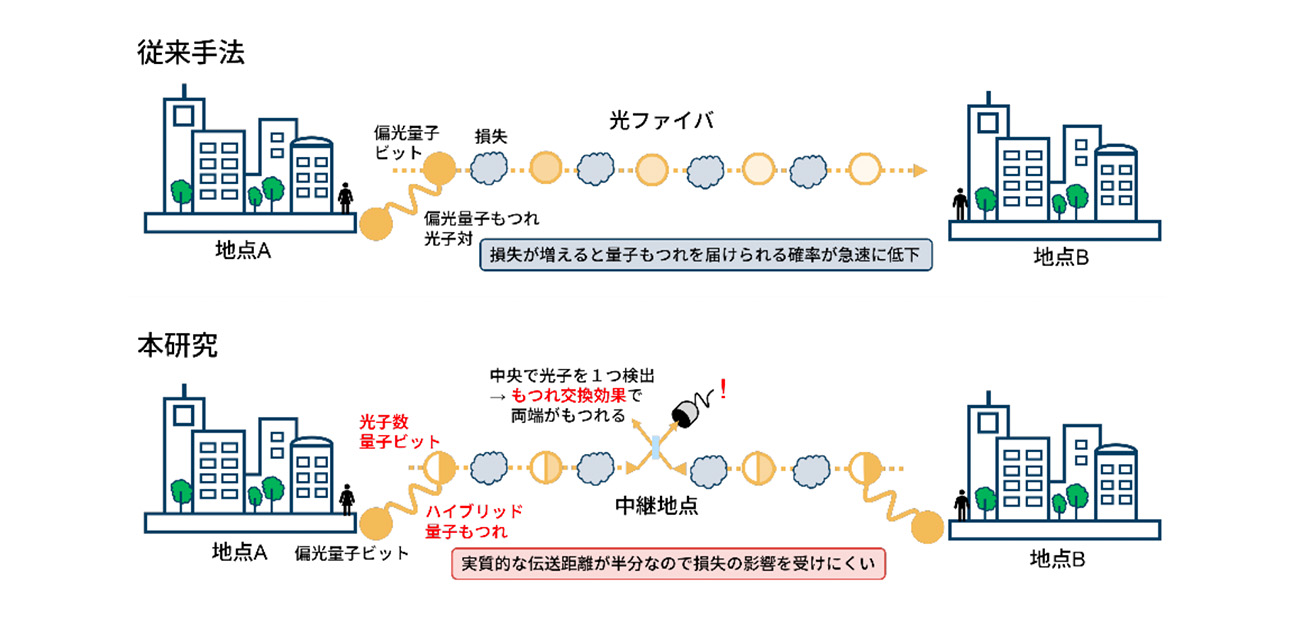 光の損失に強い量子もつれ配送の新手法を実証