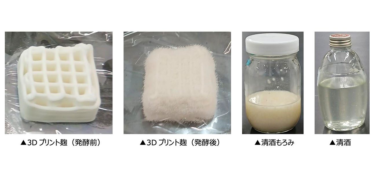 大阪大学と月桂冠が共同研究 3Dプリンターで「麹」を造形し、清酒醸造に応用
