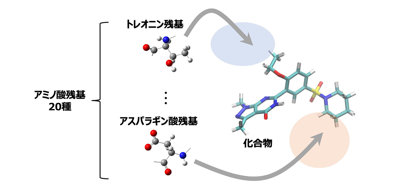 薬剤耐性菌の制圧に向けた創薬の新展開