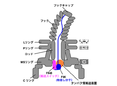 20180426_1_fig2.PNG