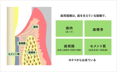 82_saisei_murakami_01.jpg