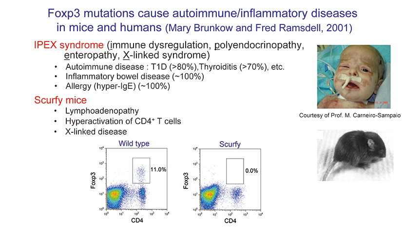 94_kiwami_NobelPrizeLecture_slide06.jpg