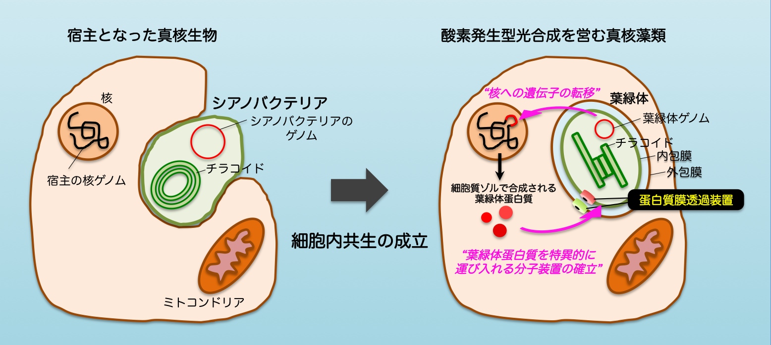 20130201_1.jpg