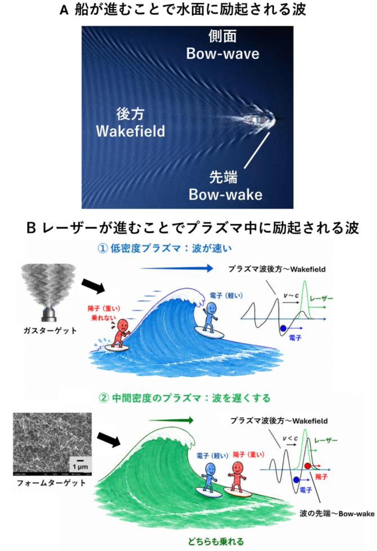 20260803_1_1.png