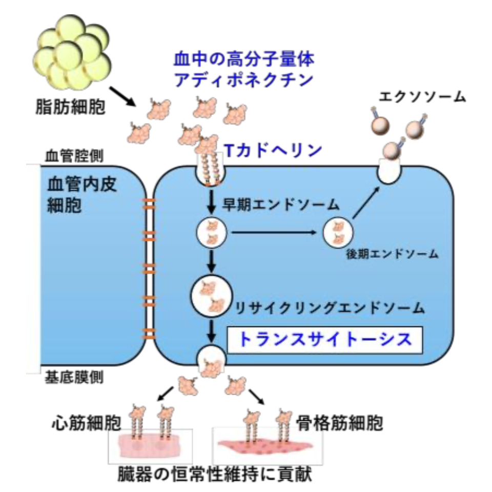 20260324_1_1.png
