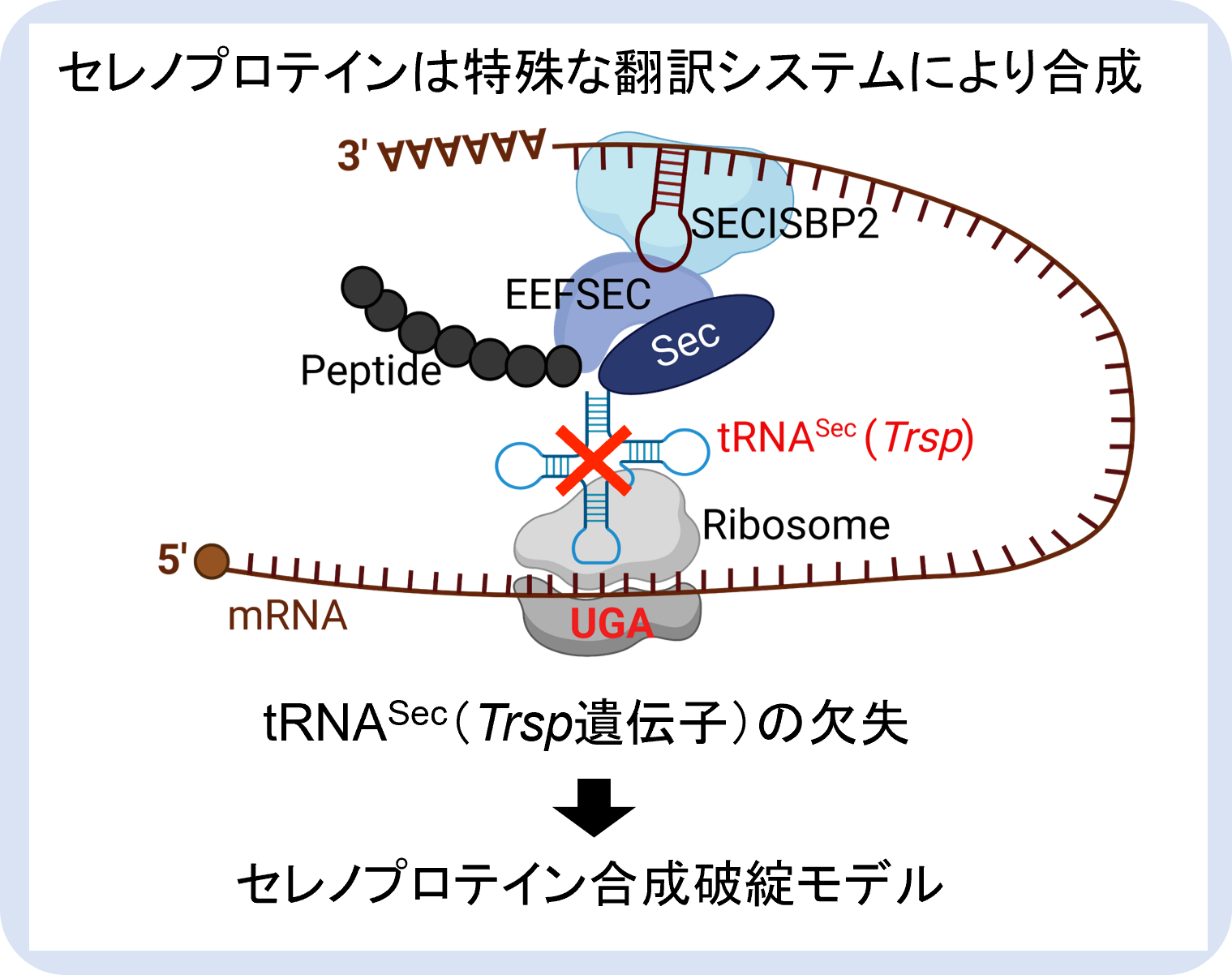 画像2.png