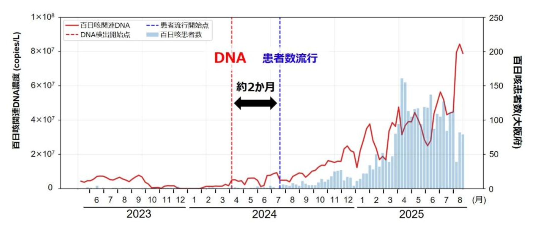 20260826_1_1.png