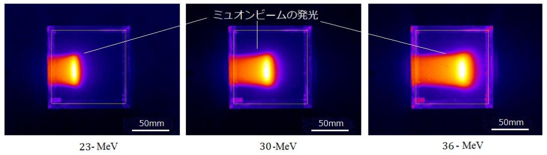 20201130_3.jpg