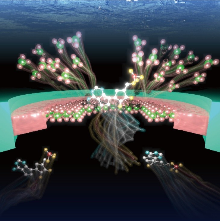 画像1.jpg