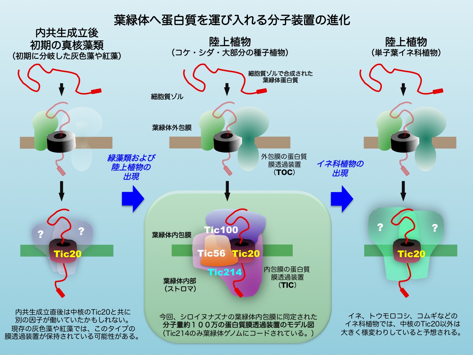 20130201_2.jpg