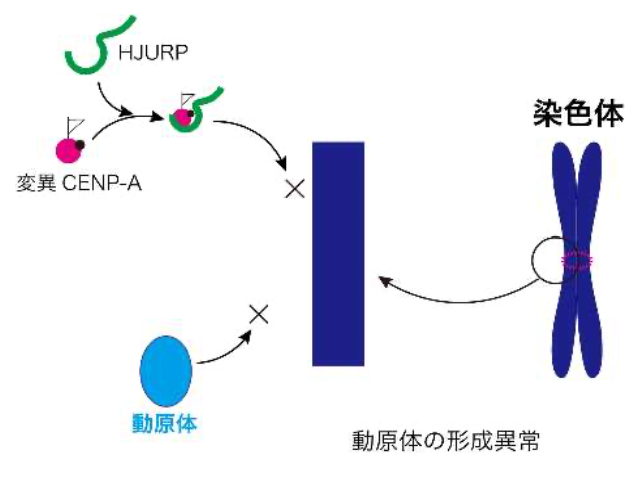 20201118_5.jpg