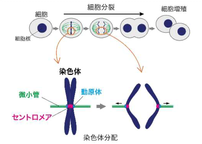 20201118_1.jpg