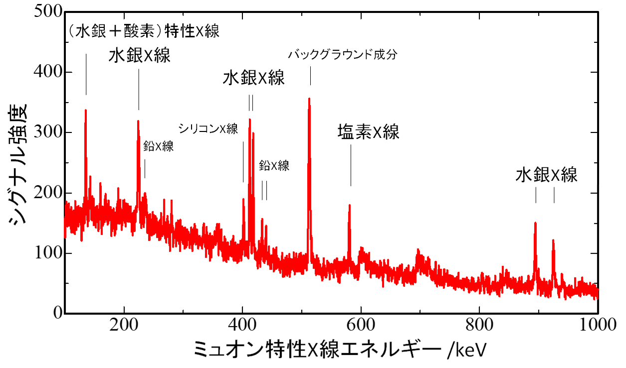 20210317_5.jpg