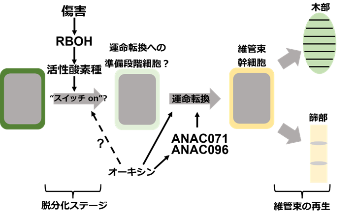 20260929_3_3.png
