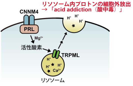 20200912_1.jpg